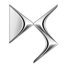 DS logo